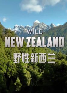BBC：野性新西兰