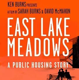 东湖草地：一个关于公共住房的故事